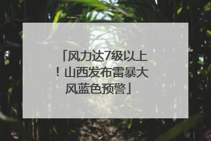 风力达7级以上！山西发布雷暴大风蓝色预警