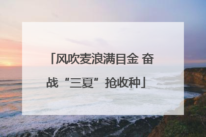 风吹麦浪满目金 奋战“三夏”抢收种