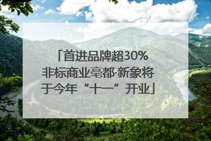 首进品牌超30% 非标商业亳都·新象将于今年“十一”开业