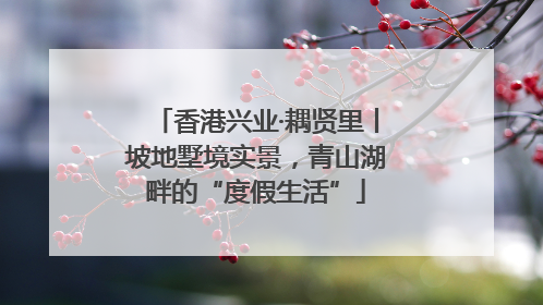 香港兴业·耦贤里丨坡地墅境实景，青山湖畔的“度假生活”