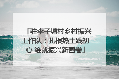 驻李子塘村乡村振兴工作队：扎根热土践初心 绘就振兴新画卷