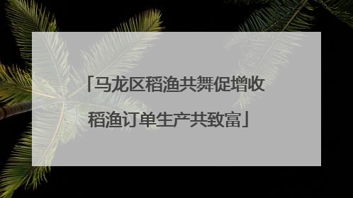 马龙区稻渔共舞促增收 稻渔订单生产共致富