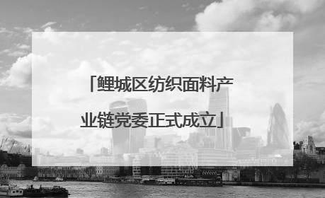 鲤城区纺织面料产业链党委正式成立