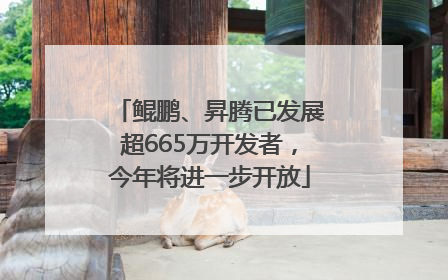 鲲鹏、昇腾已发展超665万开发者，今年将进一步开放