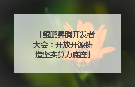 鲲鹏昇腾开发者大会：开放开源铸造坚实算力底座