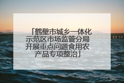鹤壁市城乡一体化示范区市场监管分局开展重点问题食用农产品专项整治