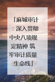 麻城审计：深入贯彻中央八项规定精神 筑牢审计质量生命线