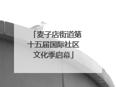 麦子店街道第十五届国际社区文化季启幕