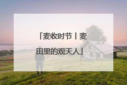 麦收时节丨麦田里的观天人