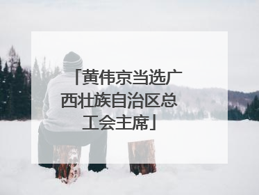 黄伟京当选广西壮族自治区总工会主席