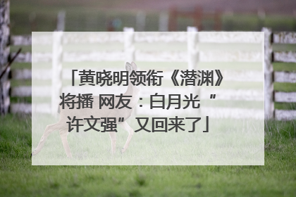 黄晓明领衔《潜渊》将播 网友：白月光“许文强”又回来了