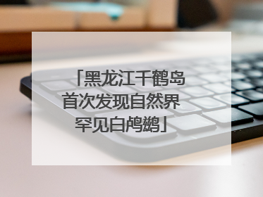 黑龙江千鹤岛首次发现自然界罕见白鸬鹚