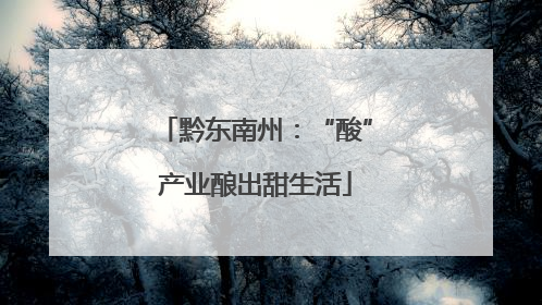 黔东南州：“酸”产业酿出甜生活