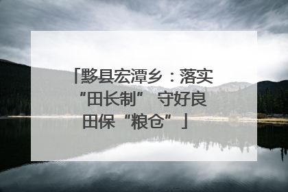 黟县宏潭乡：落实“田长制” 守好良田保“粮仓”