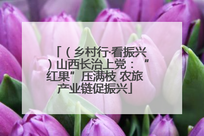 （乡村行·看振兴）山西长治上党：“红果”压满枝 农旅产业链促振兴
