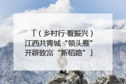 （乡村行·看振兴）江西共青城“领头雁”开辟致富“新稻路”
