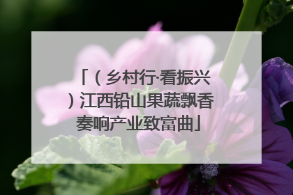 （乡村行·看振兴）江西铅山果蔬飘香 奏响产业致富曲