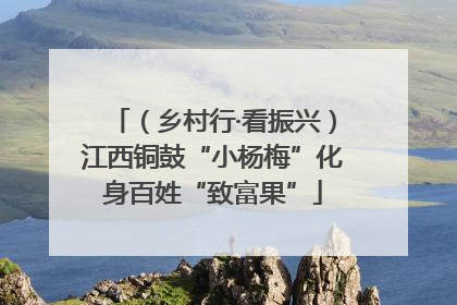 （乡村行·看振兴）江西铜鼓“小杨梅”化身百姓“致富果”