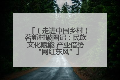 （走进中国乡村）茗新村破圈记：民族文化赋能 产业借势 “网红东风”