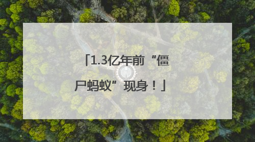 1.3亿年前“僵尸蚂蚁”现身！
