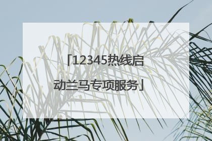 12345热线启动兰马专项服务