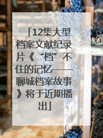 12集大型档案文献纪录片《“档”不住的记忆——聊城档案故事》将于近期播出