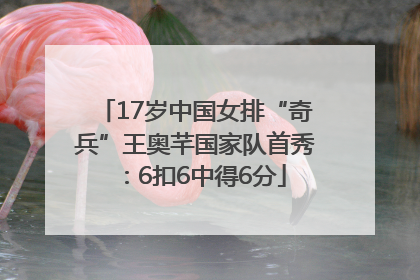 17岁中国女排“奇兵”王奥芊国家队首秀：6扣6中得6分