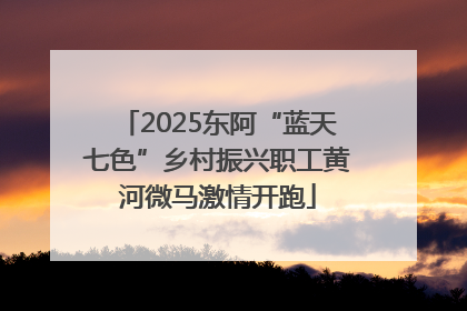 2025东阿“蓝天七色”乡村振兴职工黄河微马激情开跑