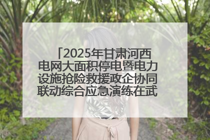 2025年甘肃河西电网大面积停电暨电力设施抢险救援政企协同联动综合应急演练在武威成功举行