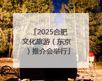 2025合肥文化旅游（东京）推介会举行