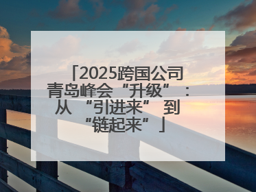 2025跨国公司青岛峰会“升级”：从 “引进来” 到 “链起来”