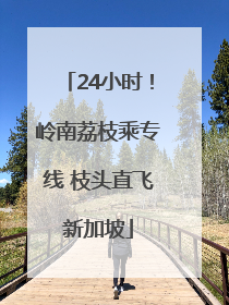 24小时！岭南荔枝乘专线 枝头直飞新加坡