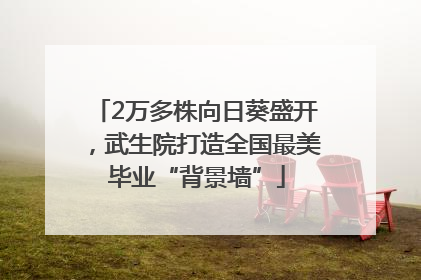 2万多株向日葵盛开，武生院打造全国最美毕业“背景墙”