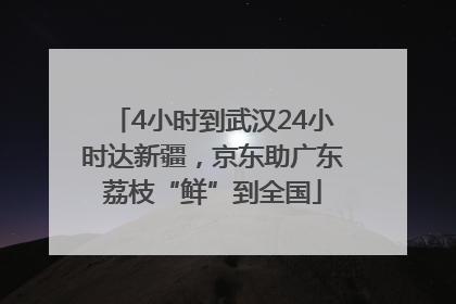 4小时到武汉24小时达新疆，京东助广东荔枝“鲜”到全国