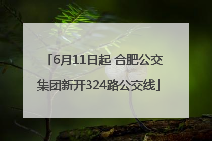 6月11日起 合肥公交集团新开324路公交线