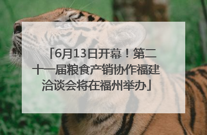 6月13日开幕！第二十一届粮食产销协作福建洽谈会将在福州举办