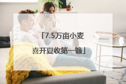 7.5万亩小麦喜开夏收第一镰