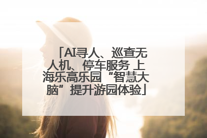 AI寻人、巡查无人机、停车服务 上海乐高乐园“智慧大脑”提升游园体验