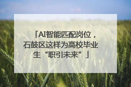 AI智能匹配岗位，石鼓区这样为高校毕业生“职引未来”