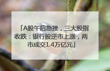 A股午后急挫，三大股指收跌：银行股逆市上涨，两市成交1.4万亿元