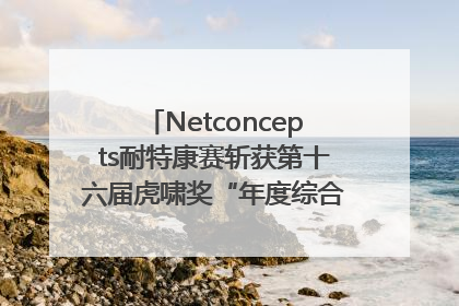 Netconcepts耐特康赛斩获第十六届虎啸奖“年度综合服务商”大奖