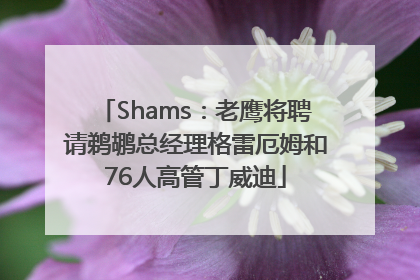 Shams：老鹰将聘请鹈鹕总经理格雷厄姆和76人高管丁威迪