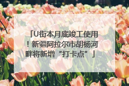 U街本月底竣工使用！新疆阿拉尔市胡杨河畔将新增“打卡点”